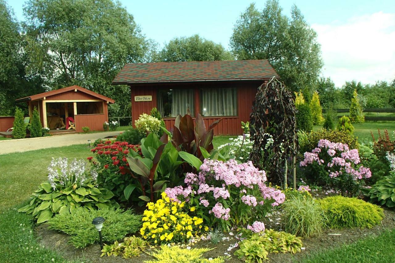 Eko Oaze Villa Perkone Exterior photo